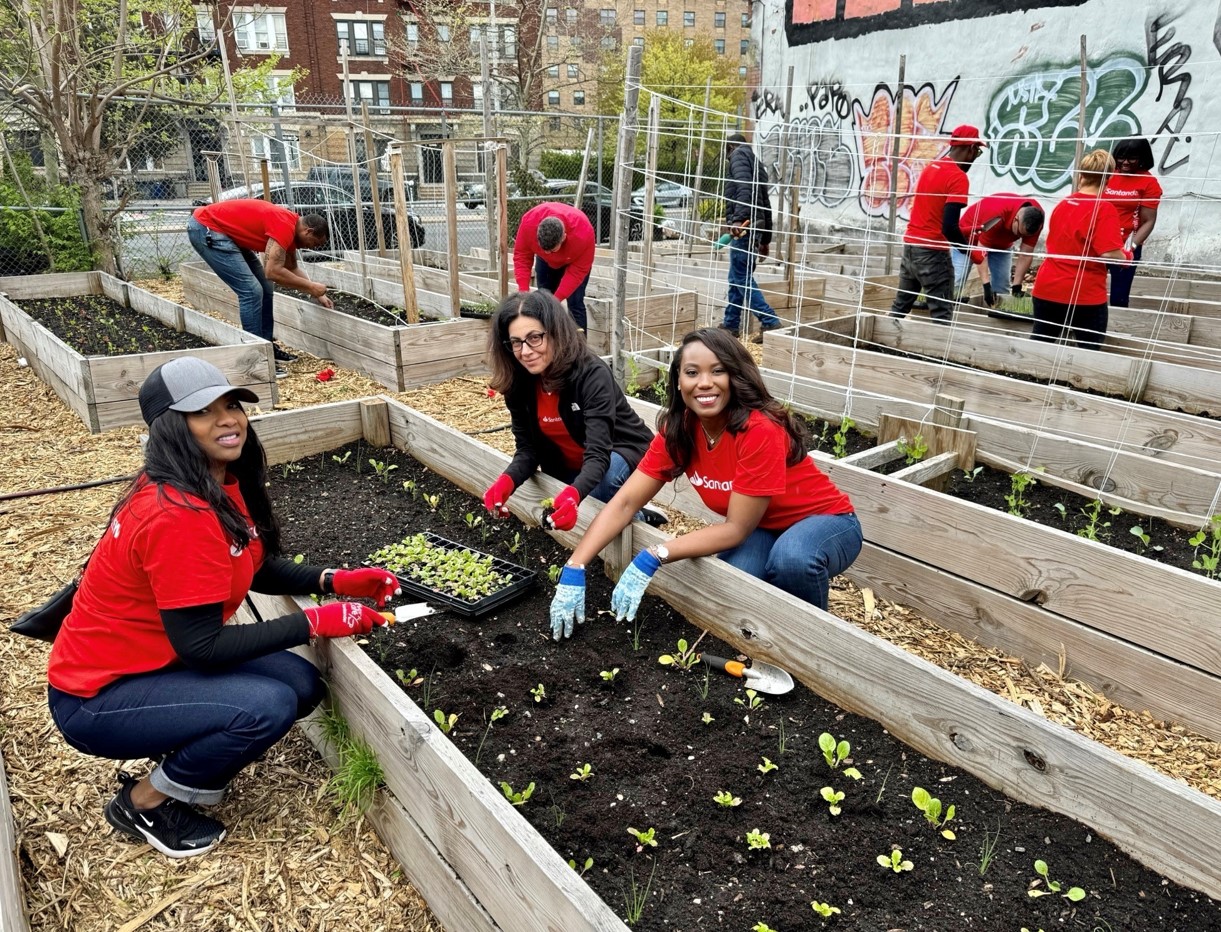 three women gardening.